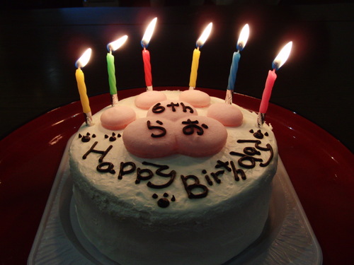らおくん 祝6歳!_f0189870_11482921.jpg