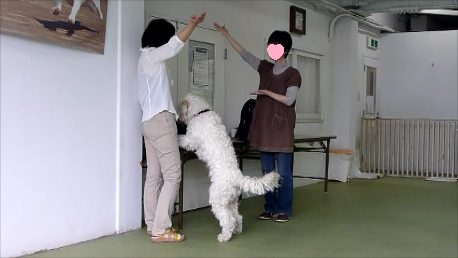 e0161972_881696.png
