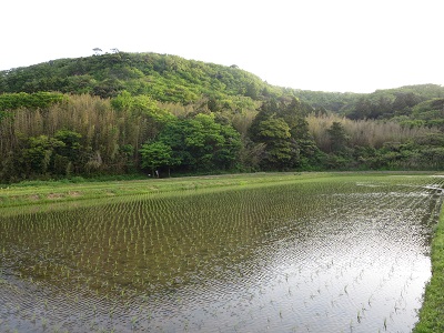 e0093679_00173495.jpg