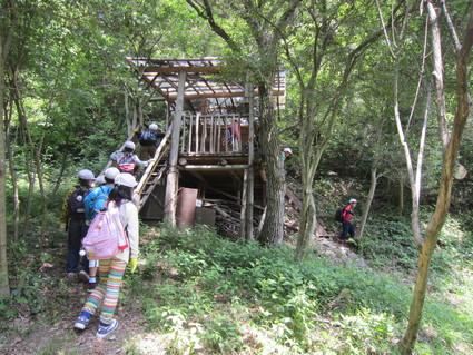 f0053885_18163043.jpg