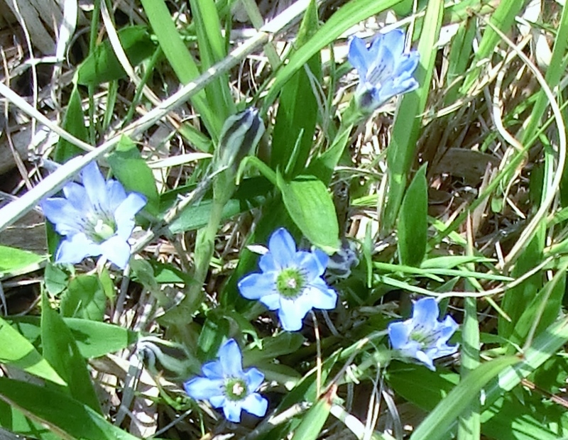 d0125589_941220.jpg