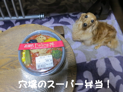植木屋ってこんなに忙しいものなのか??_b0200291_22205643.jpg