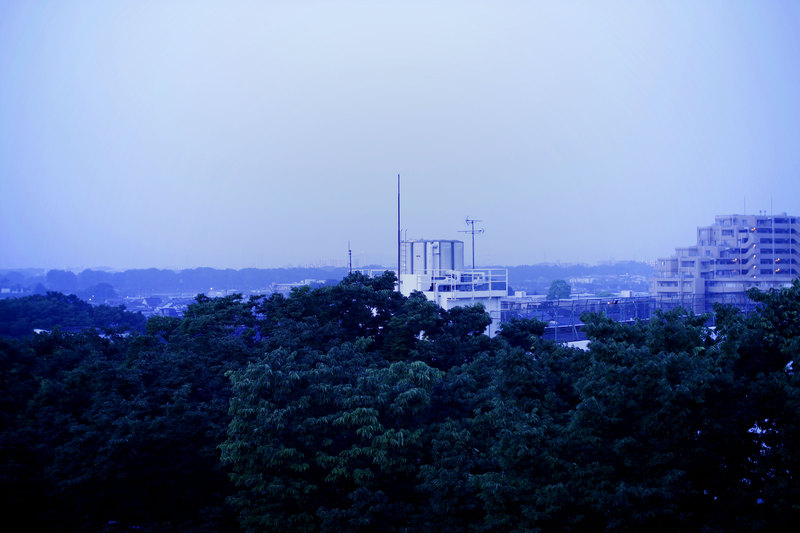 d0188294_4535844.jpg