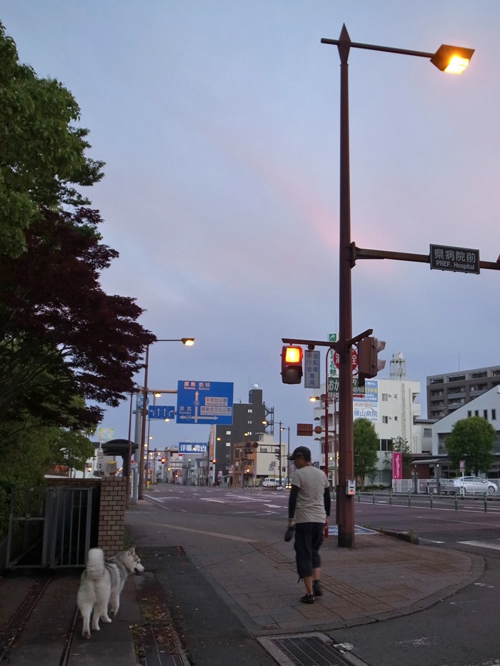 c0049299_17374245.jpg
