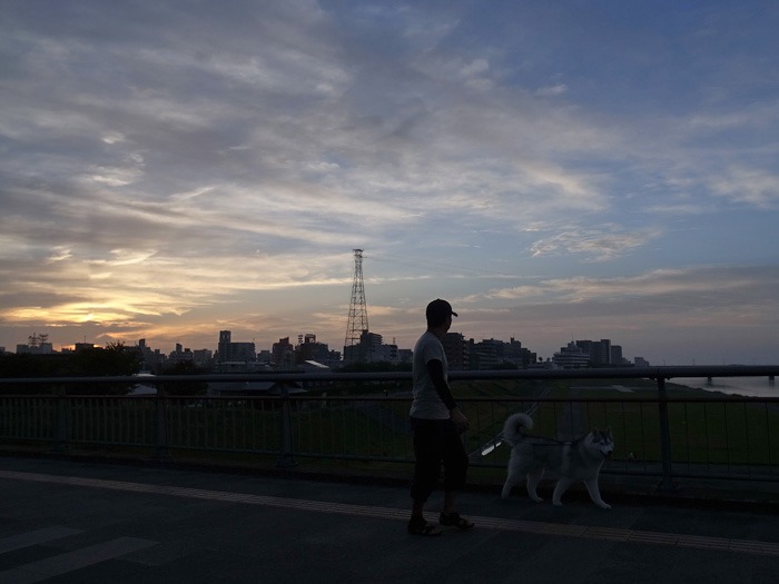 c0049299_17431819.jpg
