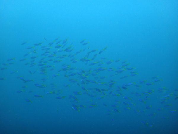 f0121701_20151659.jpg
