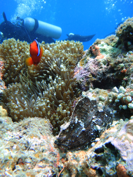f0121701_20155096.jpg