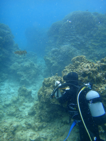 f0121701_20163684.jpg