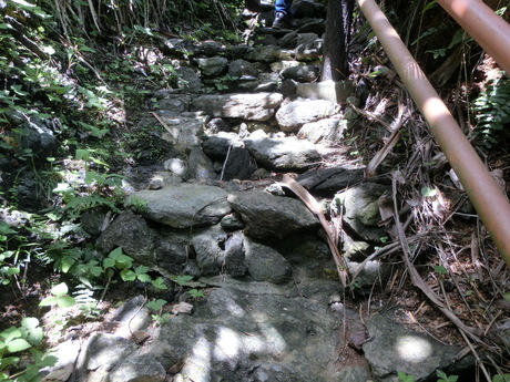 a0203003_13102459.jpg