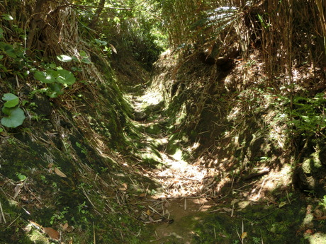 a0203003_13104471.jpg