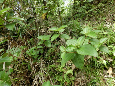 a0203003_131159.jpg