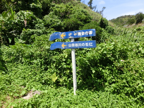 a0203003_1395443.jpg