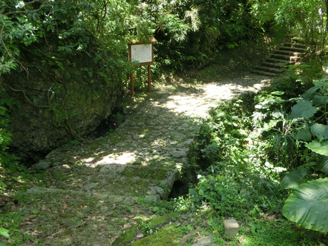 a0203003_1755066.jpg