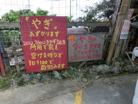 a0203003_22362031.jpg