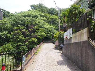 e0245404_16275014.jpg