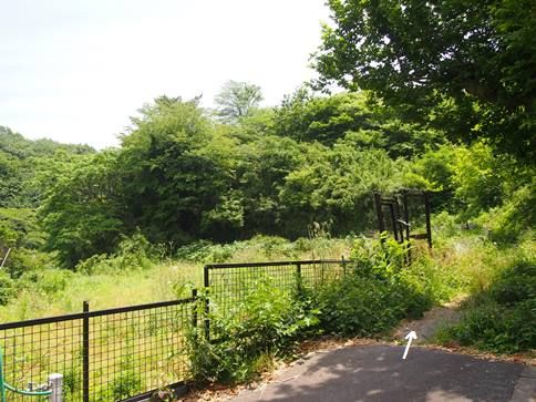 e0245404_16302232.jpg