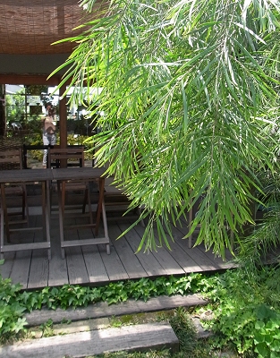 e0138807_14362842.jpg