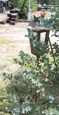 e0138807_14393905.jpg