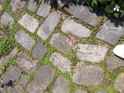 e0138807_15034352.jpg