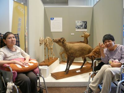 三重県総合博物館へ(^o^)/_a0154110_16583475.jpg