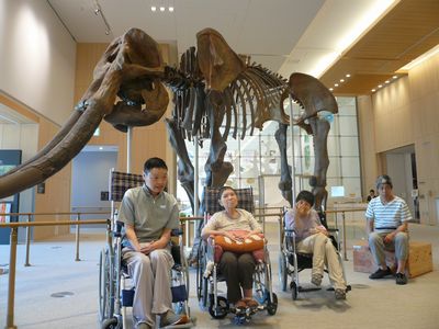 三重県総合博物館へ(^o^)/_a0154110_1659241.jpg