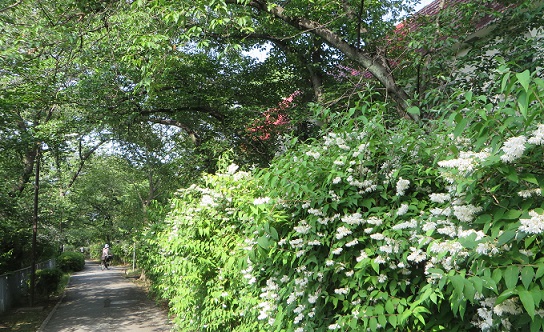 c0280322_23064142.jpg