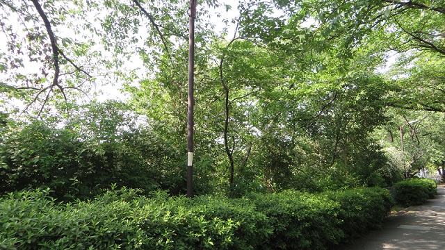 c0280322_23070987.jpg