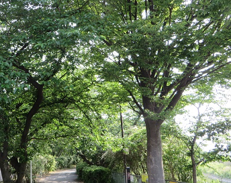 c0280322_23072474.jpg