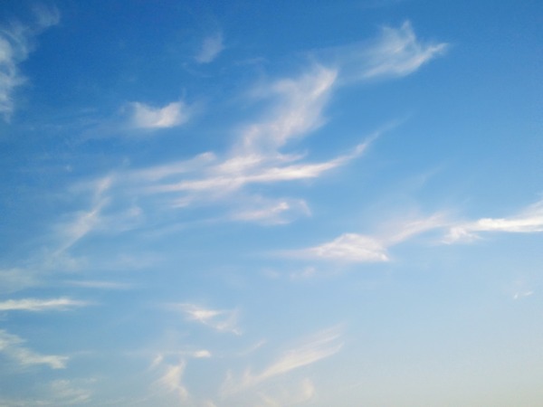 a0230831_2310876.jpg