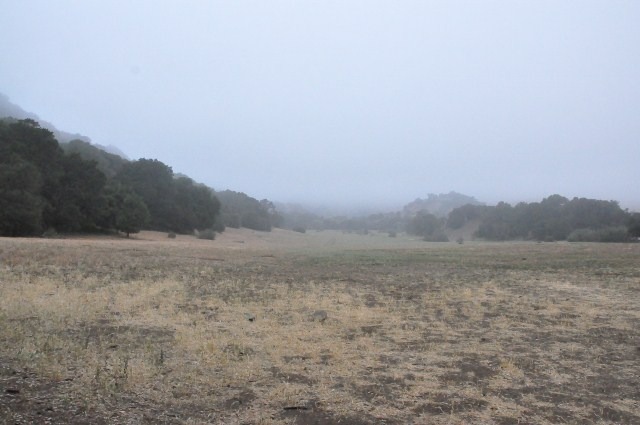 f0294032_14445545.jpg