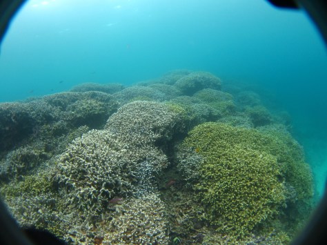 5月３０日海はベタ凪～～～～！！_c0070933_22121316.jpg