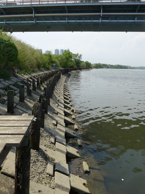 b0156734_16135621.jpg