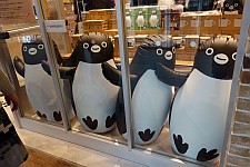 続・最後から二番目の恋「歳を重ねてピュアになる」_e0080345_17304844.jpg