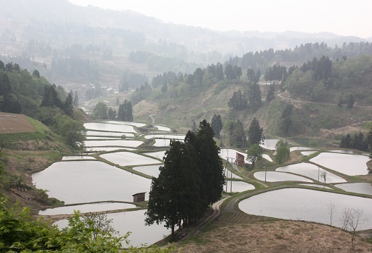 f0216148_97523.jpg