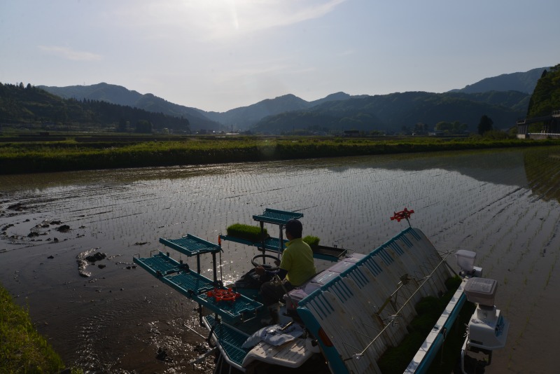 c0145453_61918.jpg