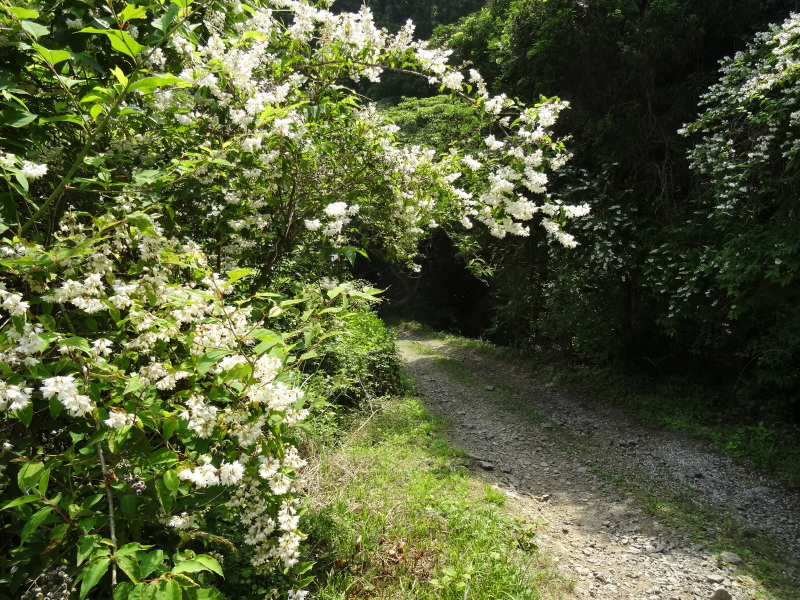 c0108460_22085560.jpg