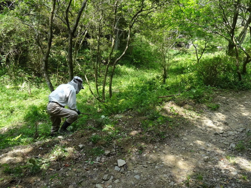 c0108460_22085629.jpg