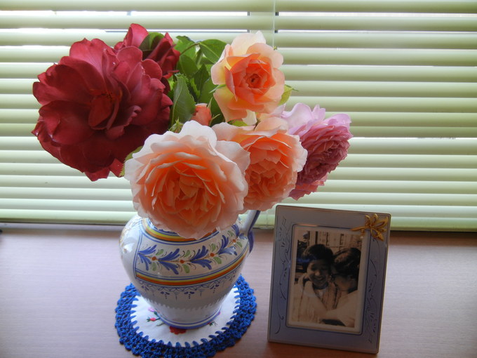’14,5,30(金)薔薇の園を訪ねて!_f0060461_107355.jpg