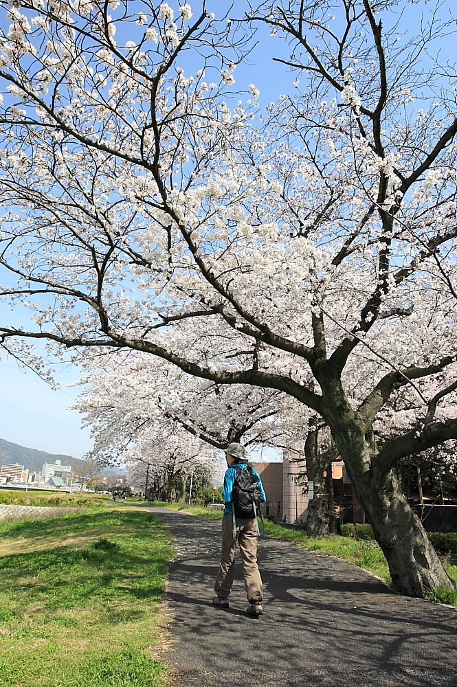  2014年3月30日～4月5日 山陽山陰の旅（第三部）_c0127663_10185358.jpg