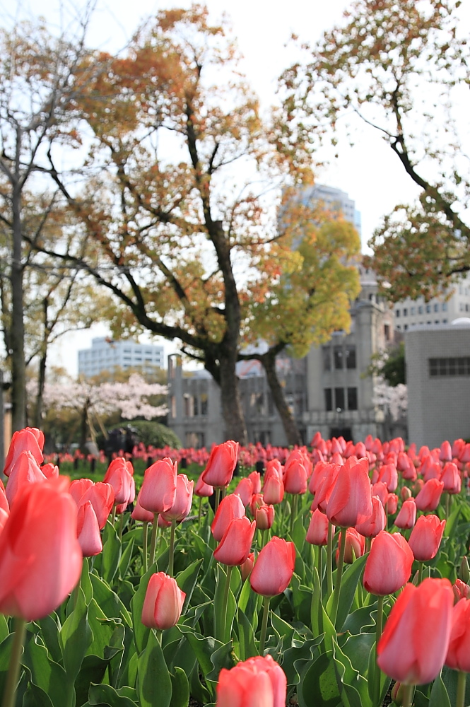  2014年3月30日～4月5日 山陽山陰の旅（第三部）_c0127663_8283771.jpg