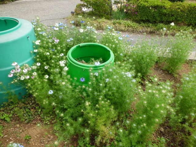 d0233866_23461380.jpg