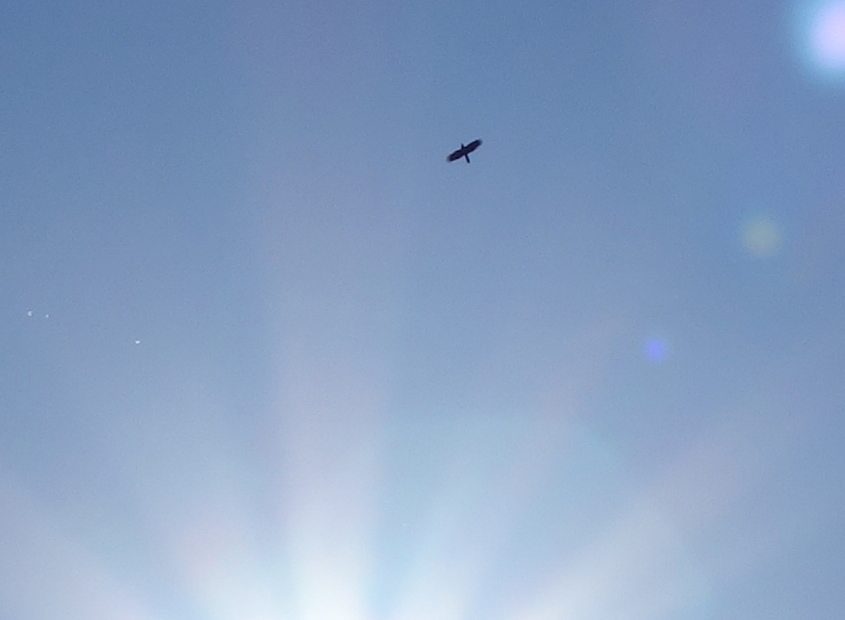 c0265773_14443447.jpg