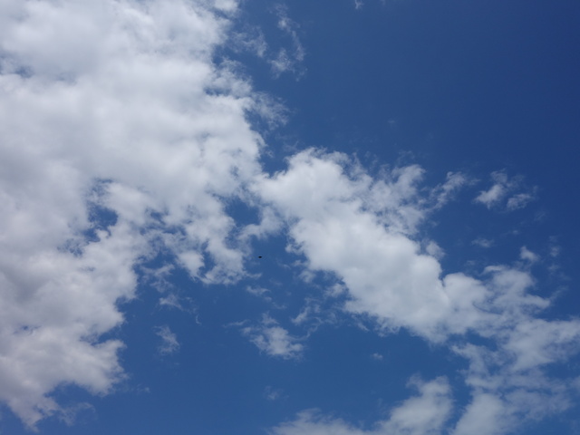 c0265773_14453743.jpg