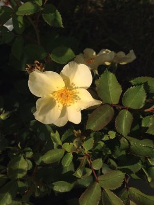c0284278_073572.jpg