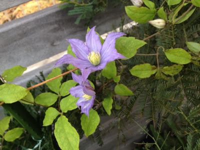 c0284278_07364.jpg