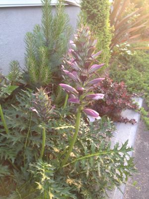 c0284278_073752.jpg