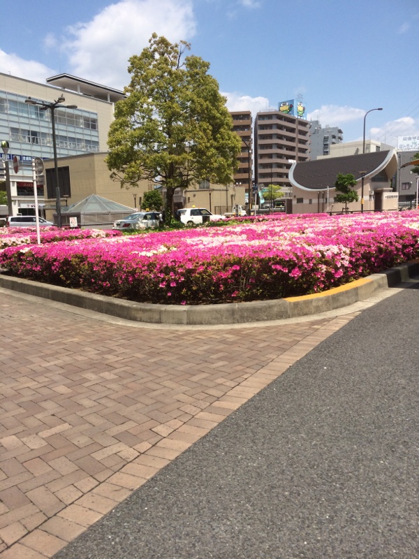 f0193680_1464879.jpg