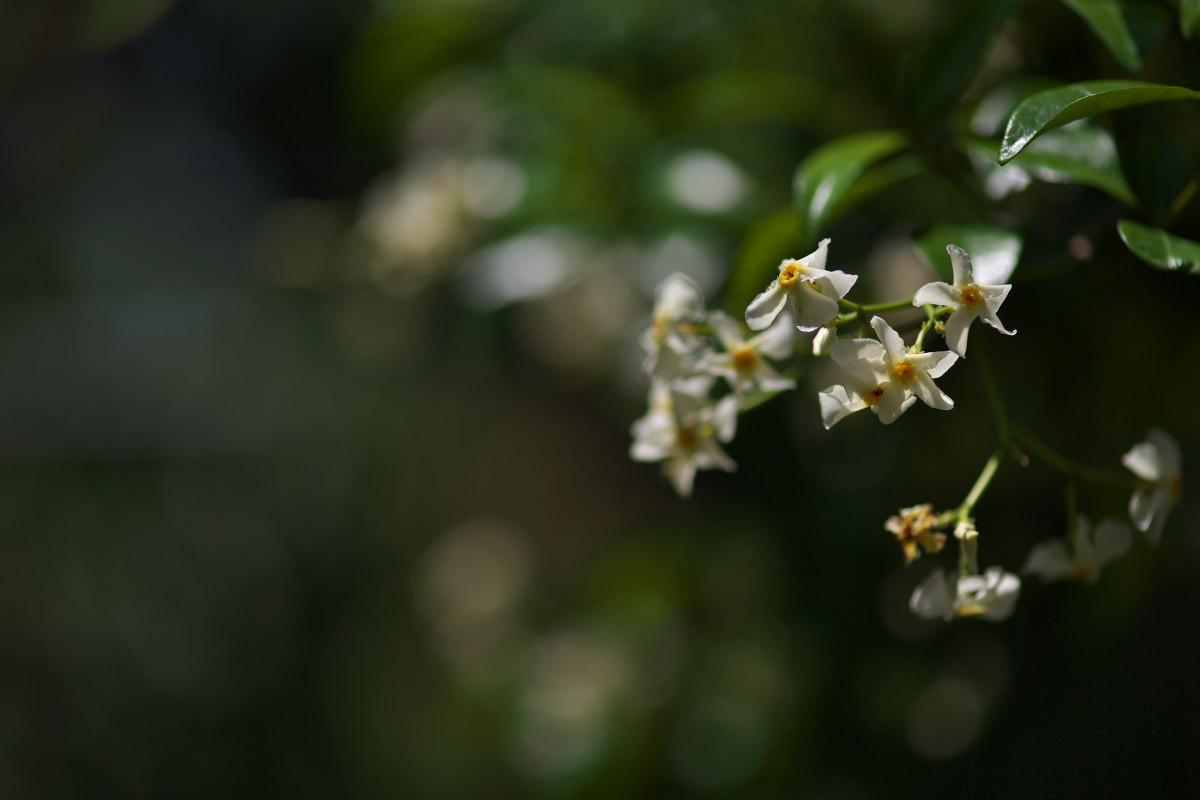 a0083081_20493176.jpg