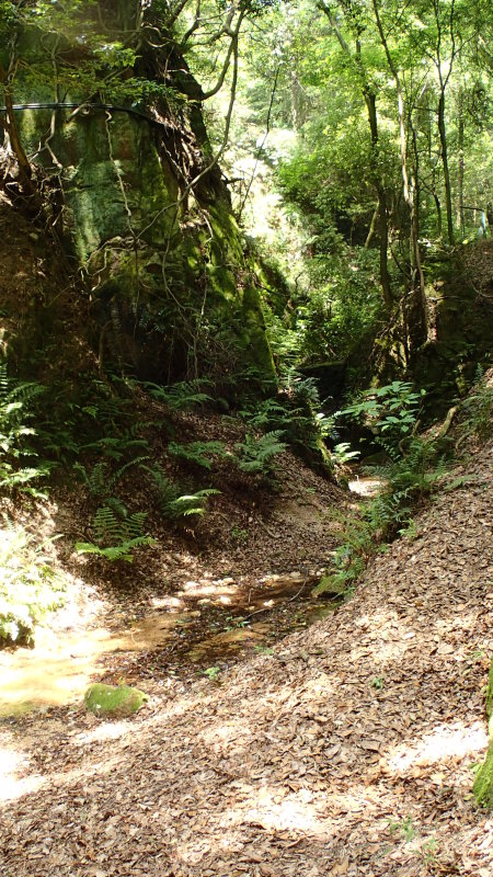e0024081_16335952.jpg