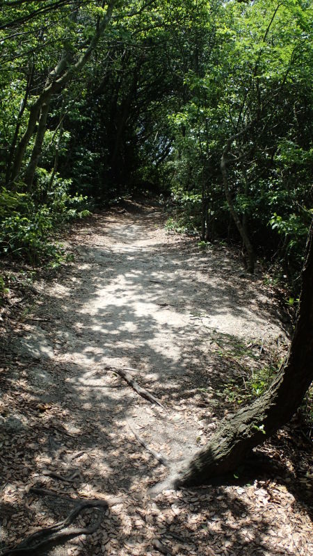 e0024081_17013423.jpg